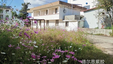 公司簡介